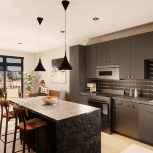 Apartments | Charcoal Kitchen Finish Option